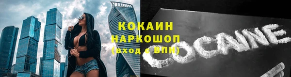 a pvp Аркадак