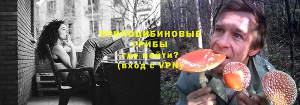 a pvp Аркадак