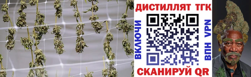 продажа наркотиков  Закаменск  кракен ONION  Дистиллят ТГК Wax 