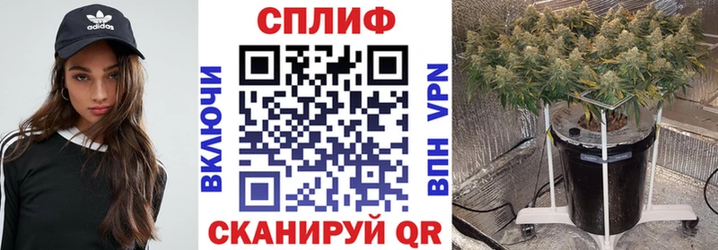 Конопля Ganja  Закаменск 
